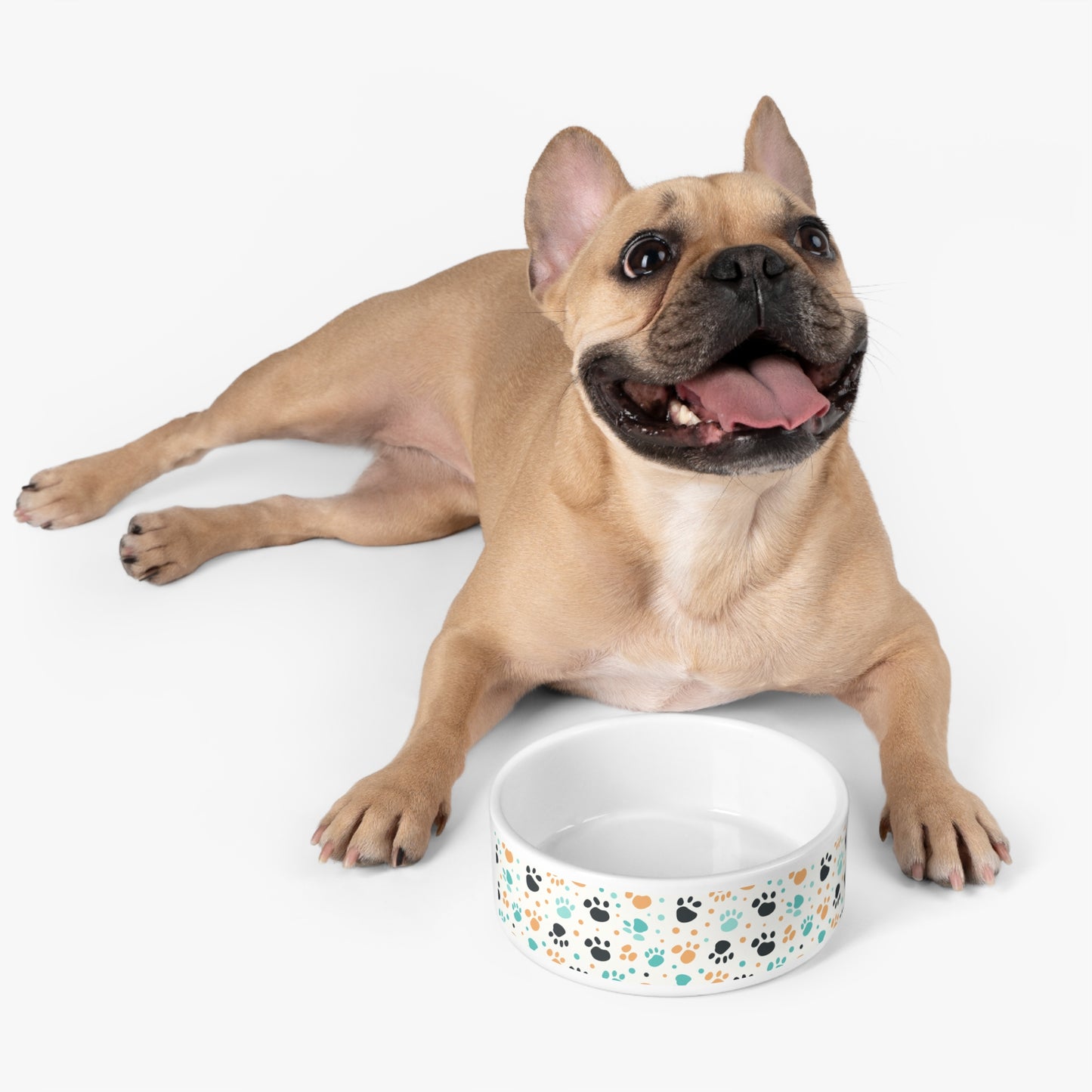 Colorful Paw Print Pet Bowl - Perfect for Dog and Cat Lovers